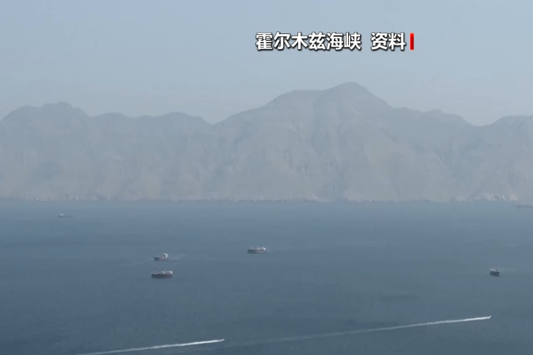 霍尔木兹大消息，伊朗宣布：通行船只须提交申请	，60天内免费，相关费用由伊朗政府承担！德国派军舰前往中东
